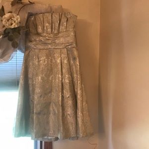 Priscilla size 10 dress